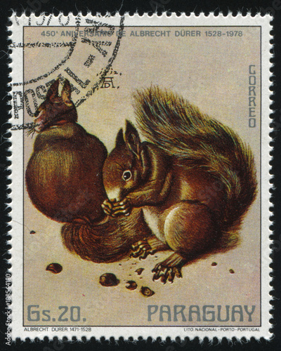 Albrecht Durer Squirrels and Acorn