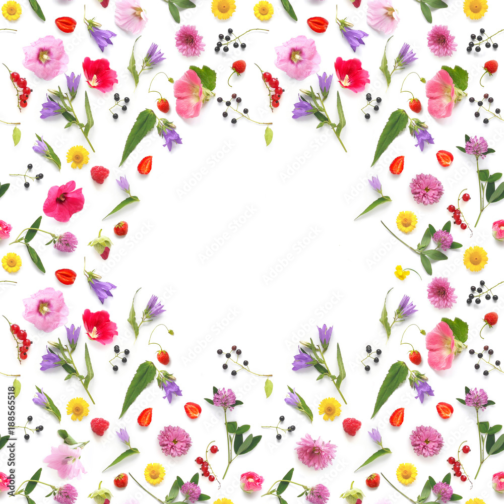 Seamless pattern from plants, wild flowers and  berries, isolated on white background, flat lay, top view. The concept of summer, spring, Mother's Day, March 8. 