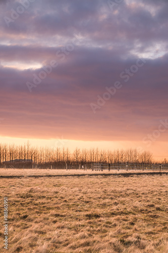 Sunset over farm field with hay bales. Concept of wildlife  forage  beast track  yellow Hayfield  countryside