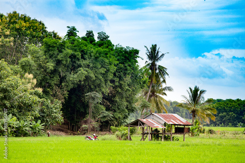 Tableau sur toile A village in a rural area of asian