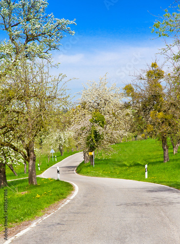 Straße im Frühling - Bodensee, Nähe Haldenhof photo