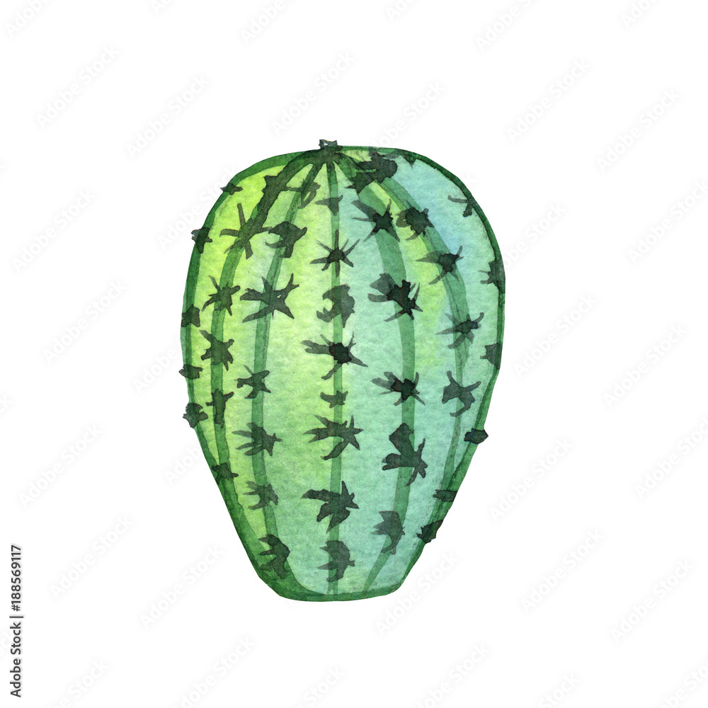 Naklejka premium Watercolor hand painted green cactus in green and emerald colors