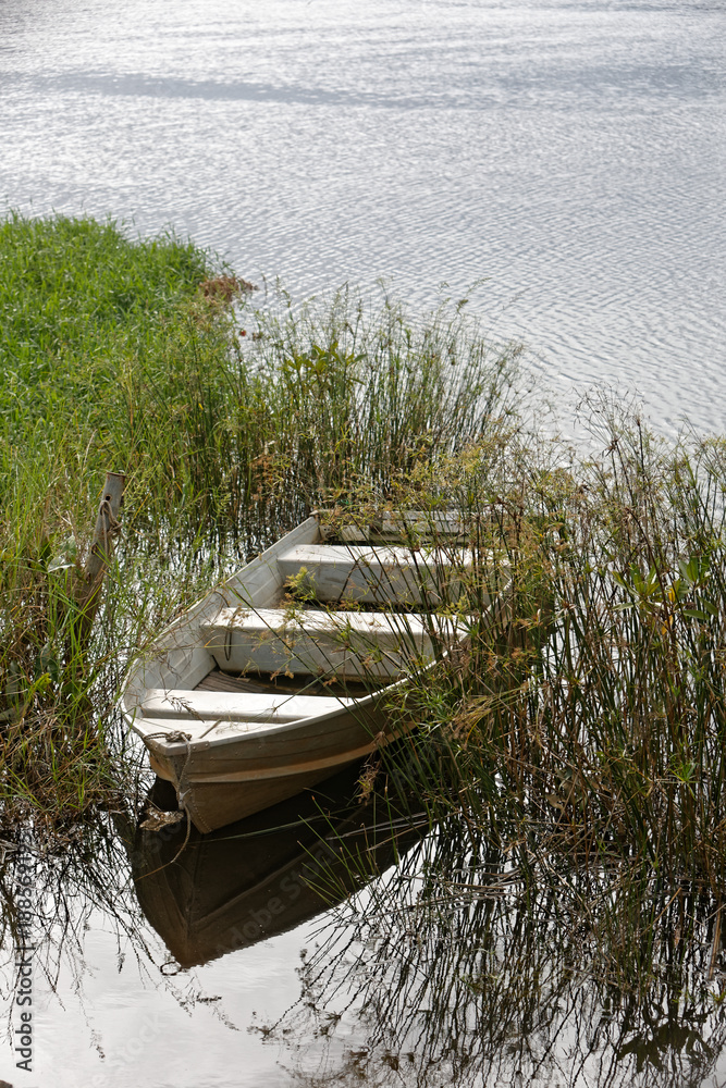Barque de pêcheur dans les marais des berges du fleuve Sinnamary en Guyane française Barque de pêcheur dans les marais des berges du fleuve Sinnamary en Guyane française