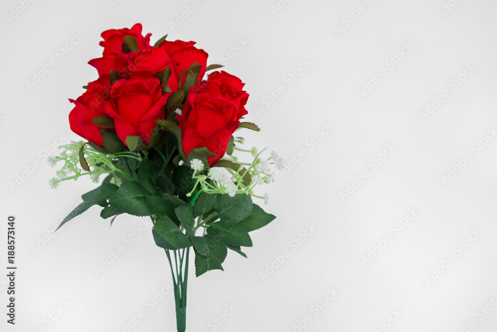 Rose - Flower, Backgrounds, Beauty, Close-up, Colors Rose - Flower, Backgrounds, Beauty, Close-up, Colors