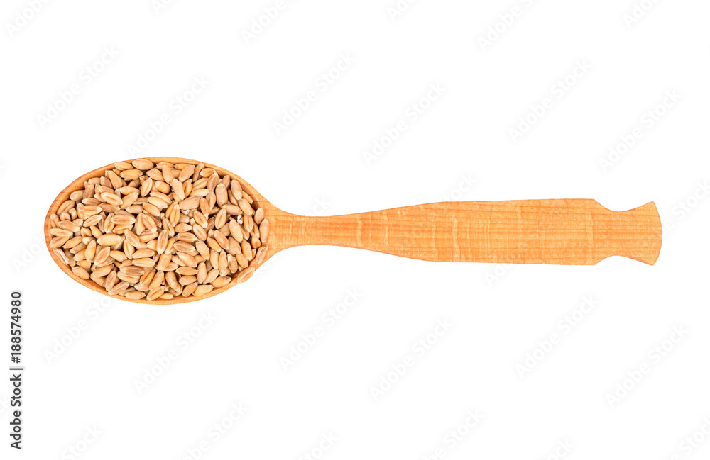 Wheat grain in spoon Wheat grain in spoon