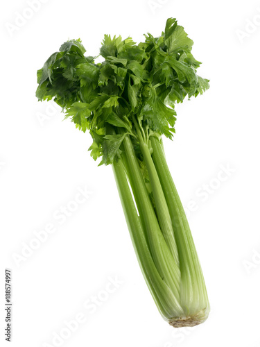 isolated green celery