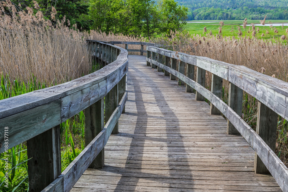 Elevated boardwalk through the marsh at the dykes in Nova Scotia's Annapolis Valley.