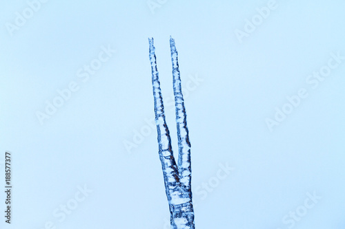 Spear from the ice on the background of the sky photo