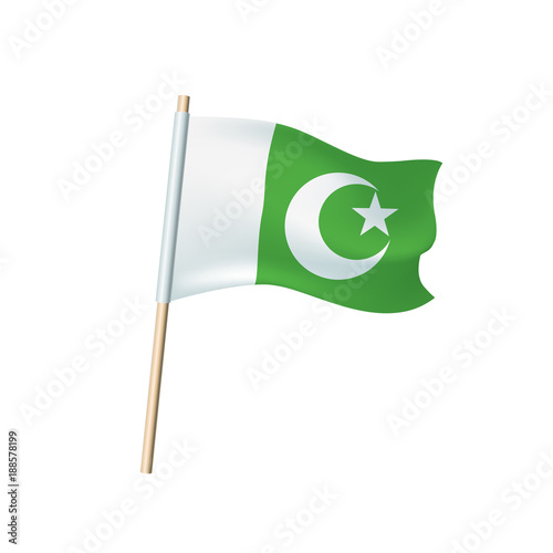 Pakistan flag isolated on white background