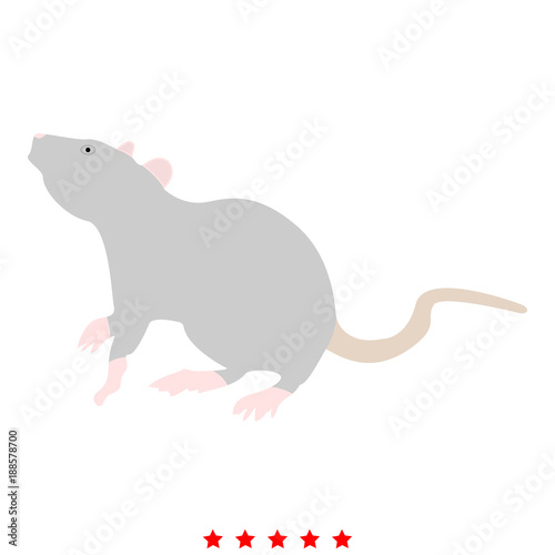 Rat icon Illustration color fill style