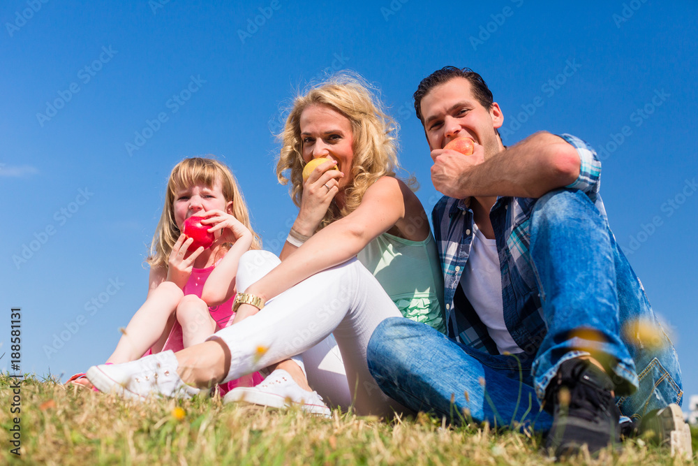 Mommy, daddy and little girl sitting on meadow eating fruit Mommy, daddy and little girl sitting on meadow eating fruit