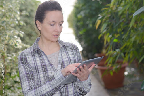 Lady by potted plants using tablet