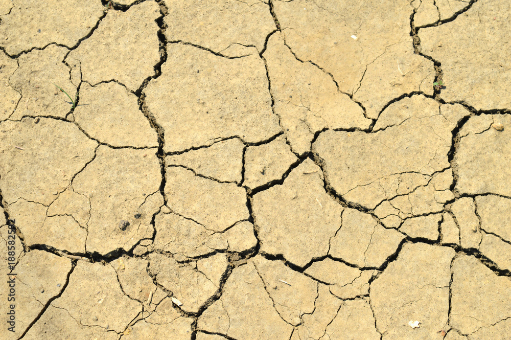 Fototapeta premium Трещины на сухой земле в жаркое лето.