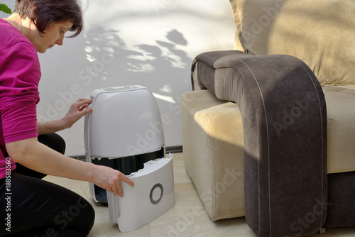 Portable dehumidifier collect water from air photo