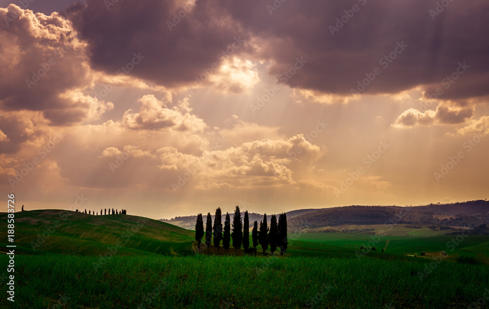 A Cloudy Day With Cypress Trees From The Val D' Orcia