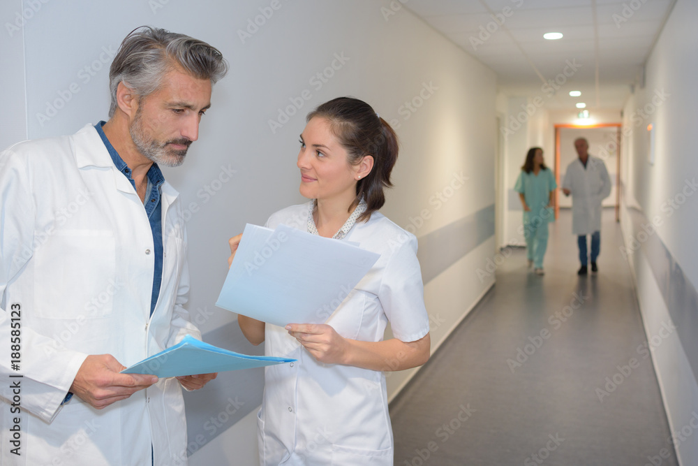 Fototapeta premium Medics conversing in hospital corridor