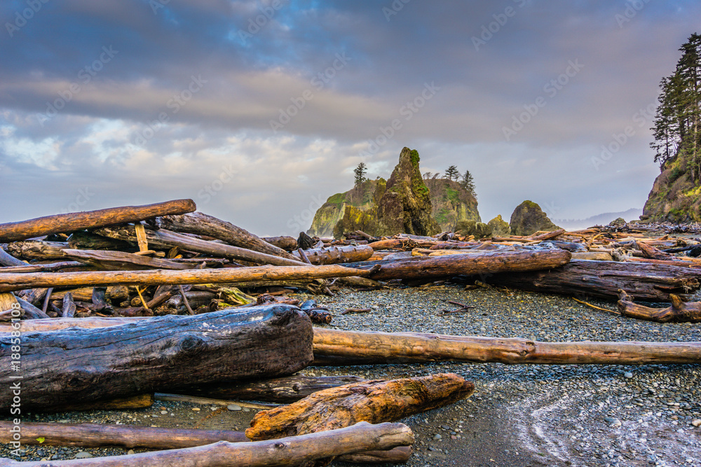 Wild Ruby Beach along the Olympic National Park in Washington State Wild Ruby Beach along the Olympic National Park in Washington State
