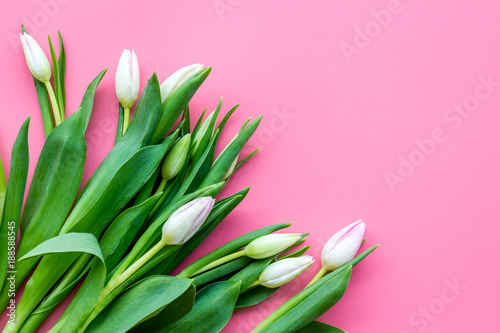 Fototapeta Naklejka Na Ścianę i Meble -  Pale pink spring tulips on pastel pink background top view copy space