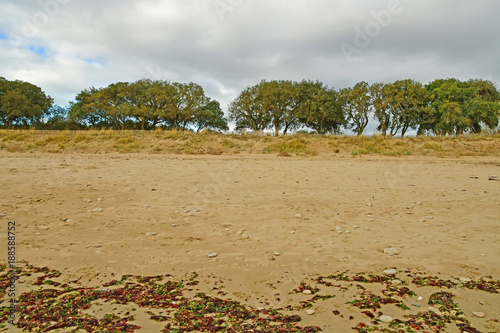 Rivedoux Plage; France - november 27 2017 : west coast beach photo