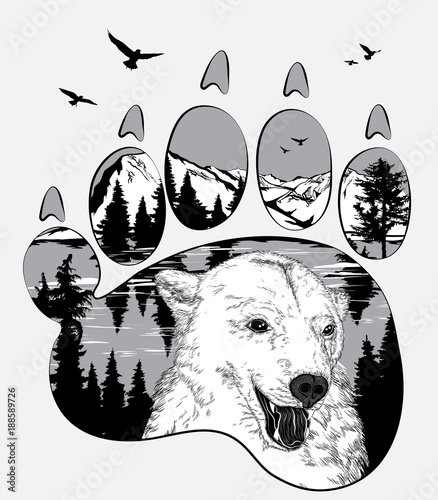 Animal trail. Bear in the wilderness, double exposure for your design, wildlife concept