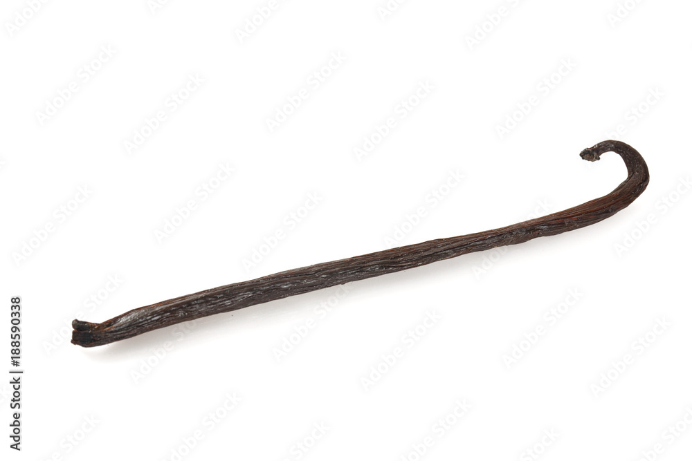 Obraz premium vanilla bean isolated
