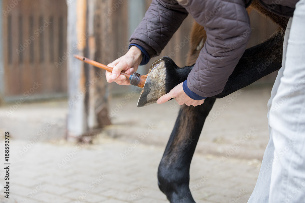 Fototapeta premium protection of horse hoof