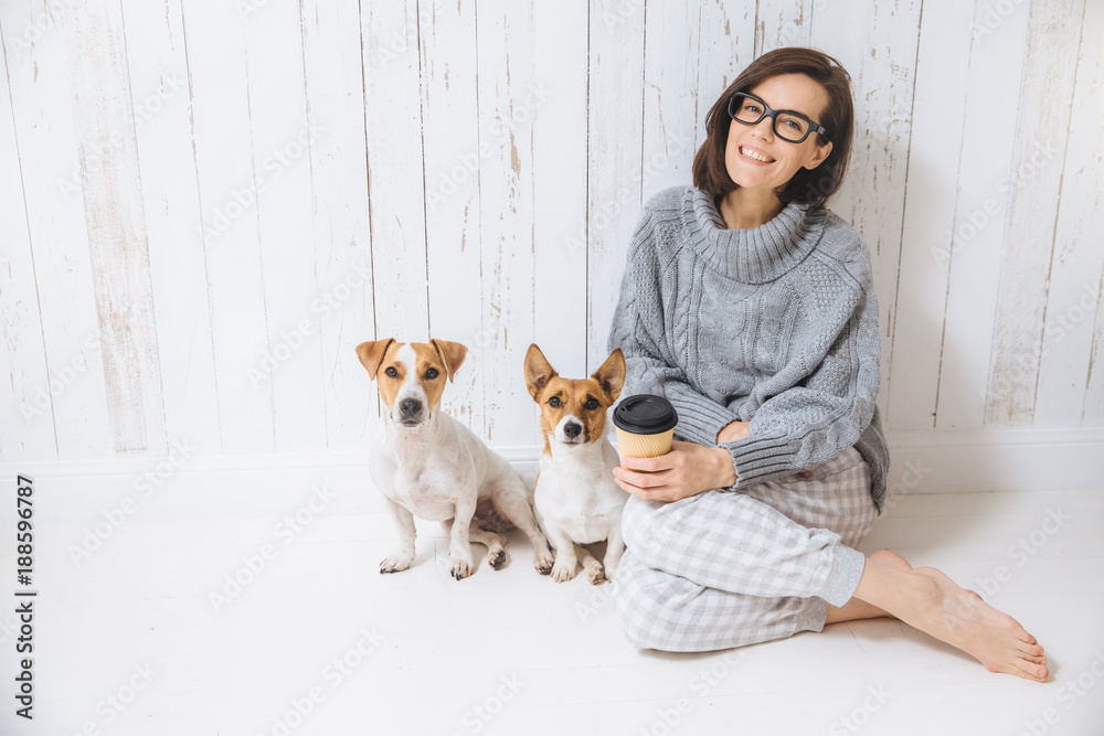 Cheerful glad brunette female dressed in warm winter knitted clothes, sits in room with her dogs, drinks takeaway coffee, poses at camera, enjoys good domestic atmosphere. Friendly relationship Cheerful glad brunette female dressed in warm winter knitted clothes, sits in room with her dogs, drinks takeaway coffee, poses at camera, enjoys good domestic atmosphere. Friendly relationship