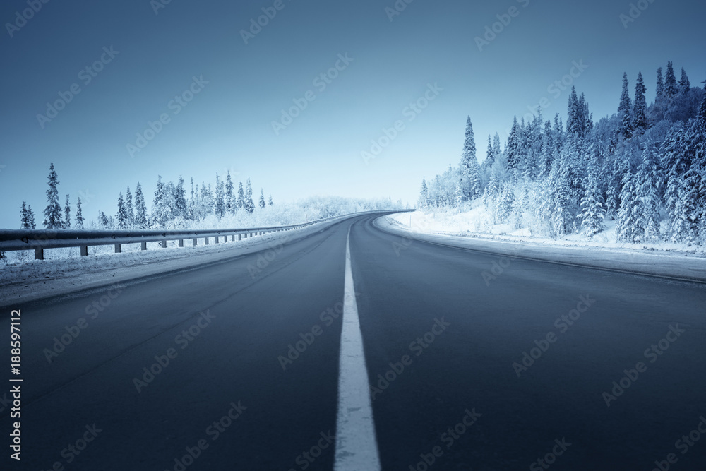 Naklejka premium road in winter forest