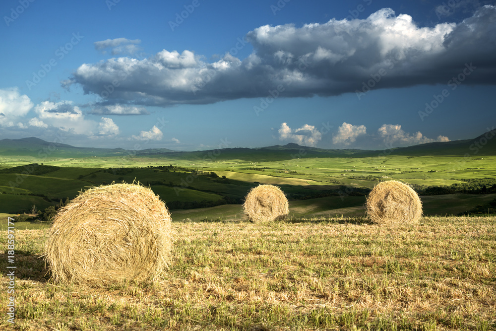 Rural landscape with rolls of hay, Tuscany, Italy