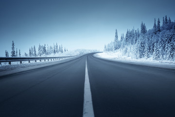 road in winter forest