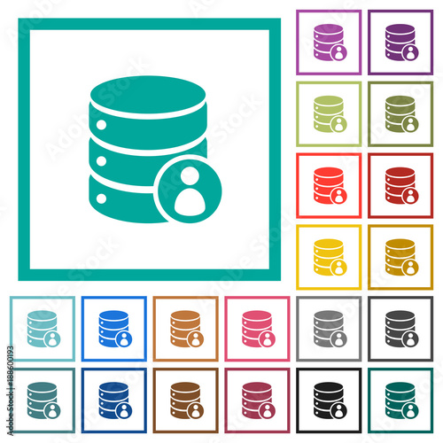 Database privileges flat color icons with quadrant frames