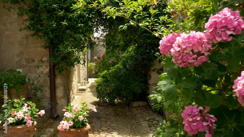 Steadicam shot of narrow paved street with greenery. Lacoste, France. 4K, UHD