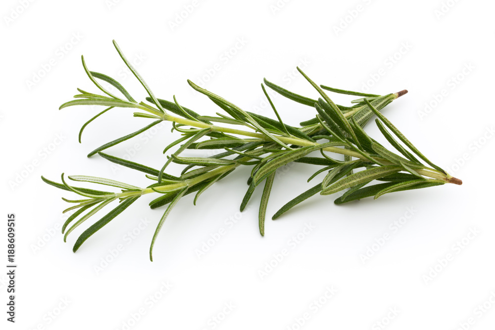 Fototapeta premium Rosemary isolated on white background, Top view.