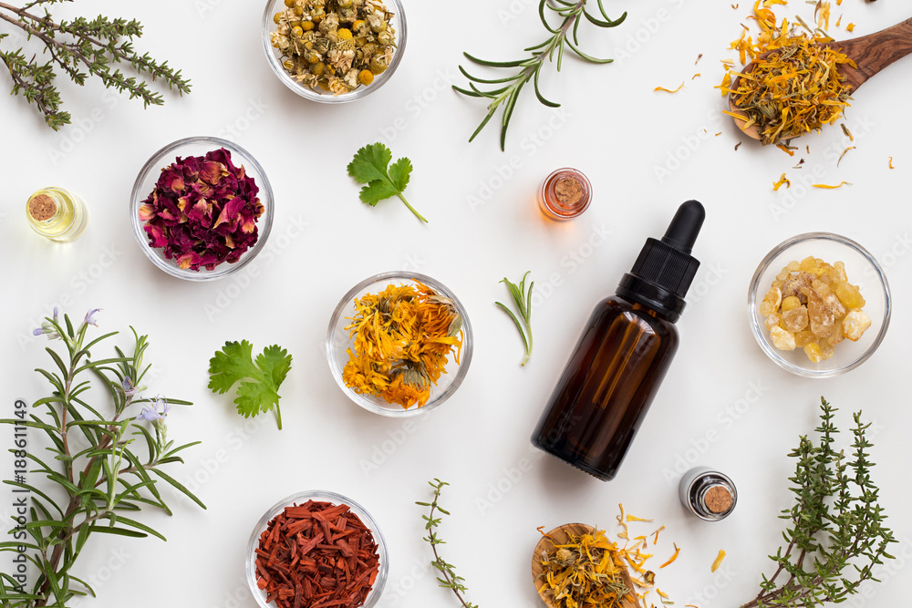Selection of essential oils and herbs on a white background, top view - obrazy, fototapety, plakaty 