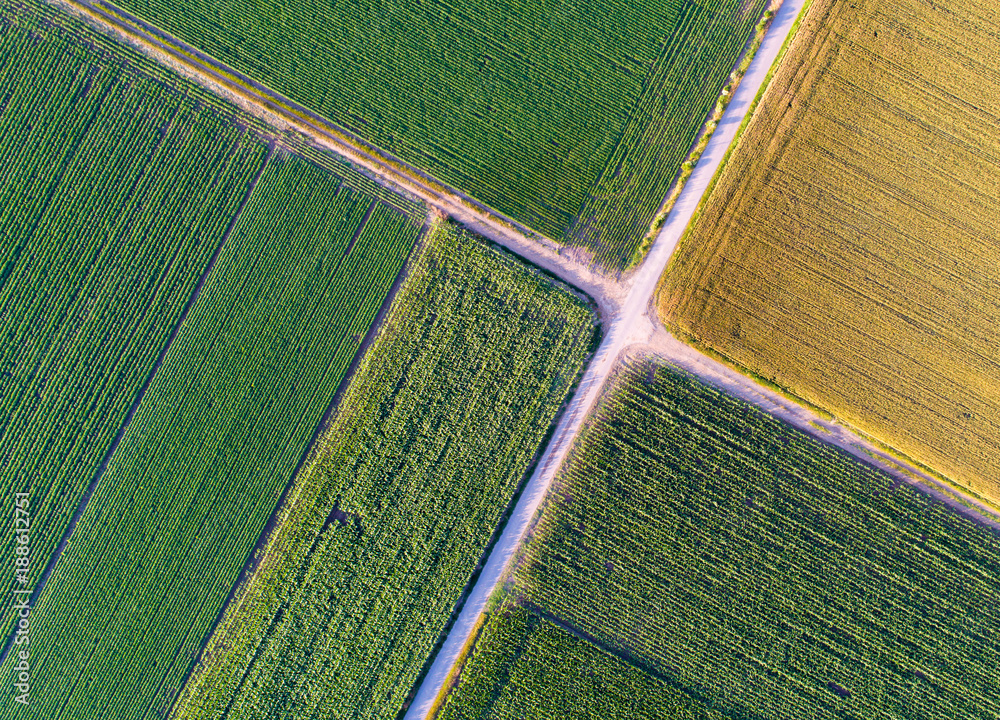 Top view of agricultural parcels - obrazy, fototapety, plakaty 