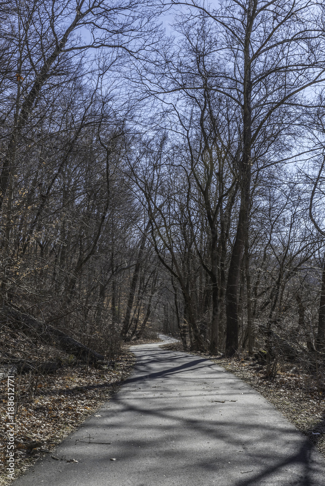winding path through the woods at Brandywine Creek State Park in Wilmington, Delaware winding path through the woods at Brandywine Creek State Park in Wilmington, Delaware