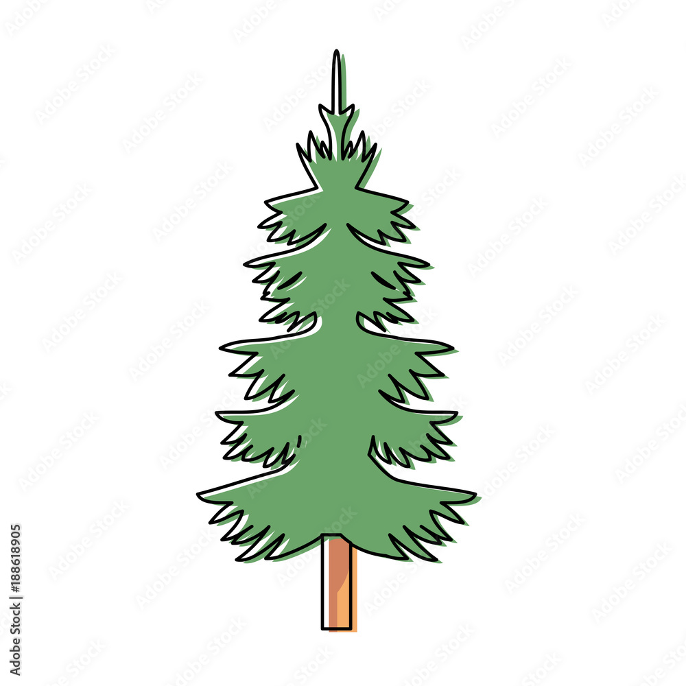 Obraz premium Pine tree design