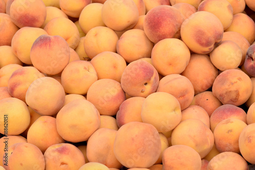 Peaches in a Pile  Closeup Abstract Texture Background