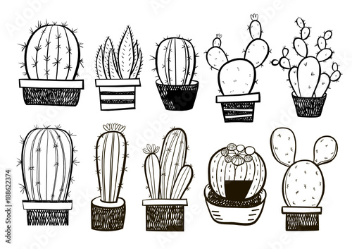 Hand drawn cactus collection