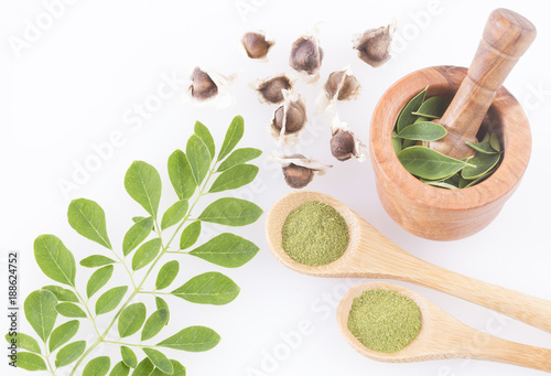 Fresh leaves, powder and moringa seeds - Moringa oleifera