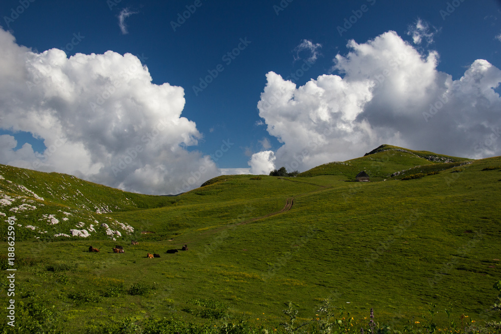 Naklejka premium mountain