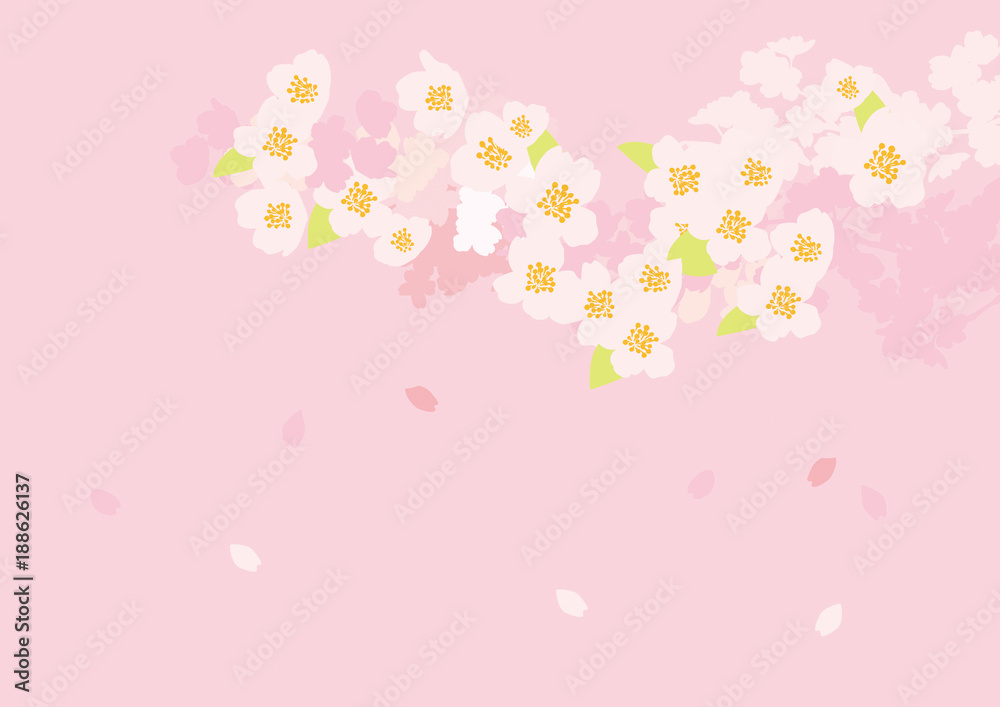 桜空 枝 ピンク