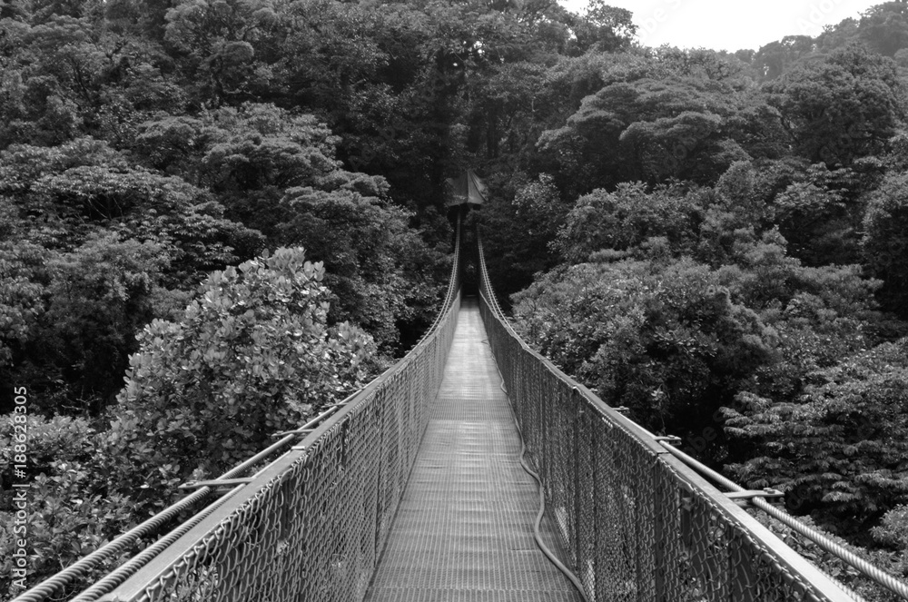 Obraz premium suspension bridge in the forest