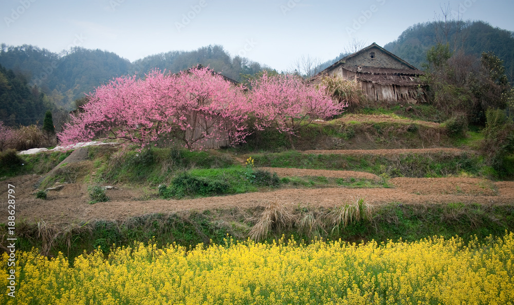 Image of the village in southern Anhui, China