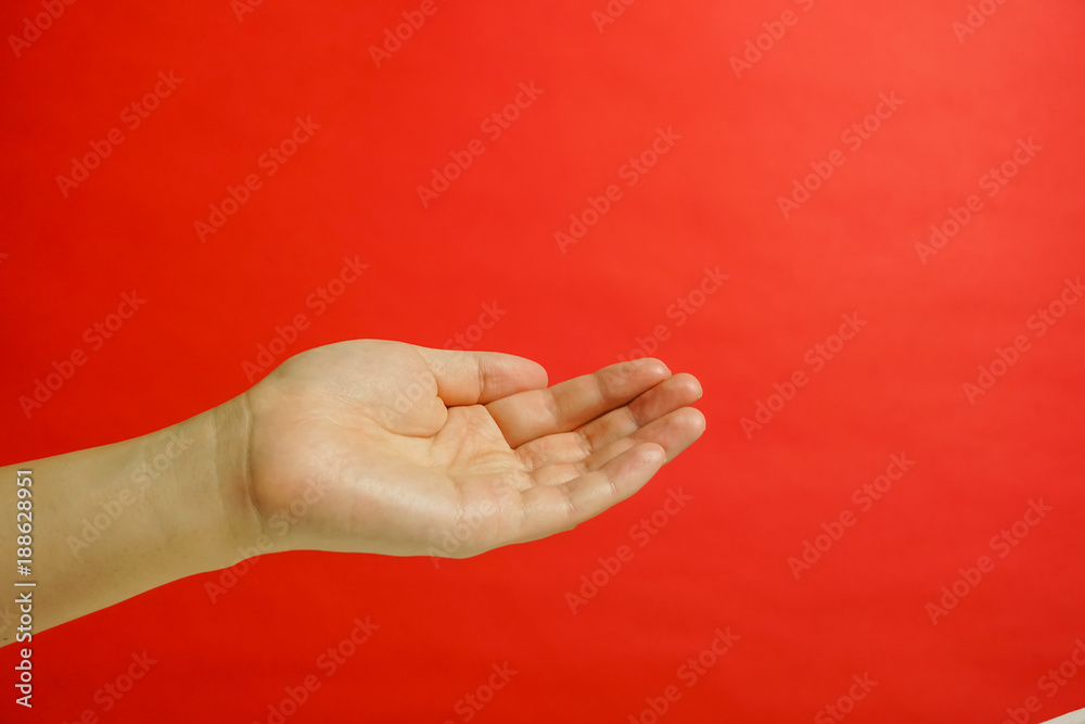 手の表現 何もない手 何かをもらう手 何かを差し出す手 女性の手 赤色背景 Foto De Stock Adobe Stock