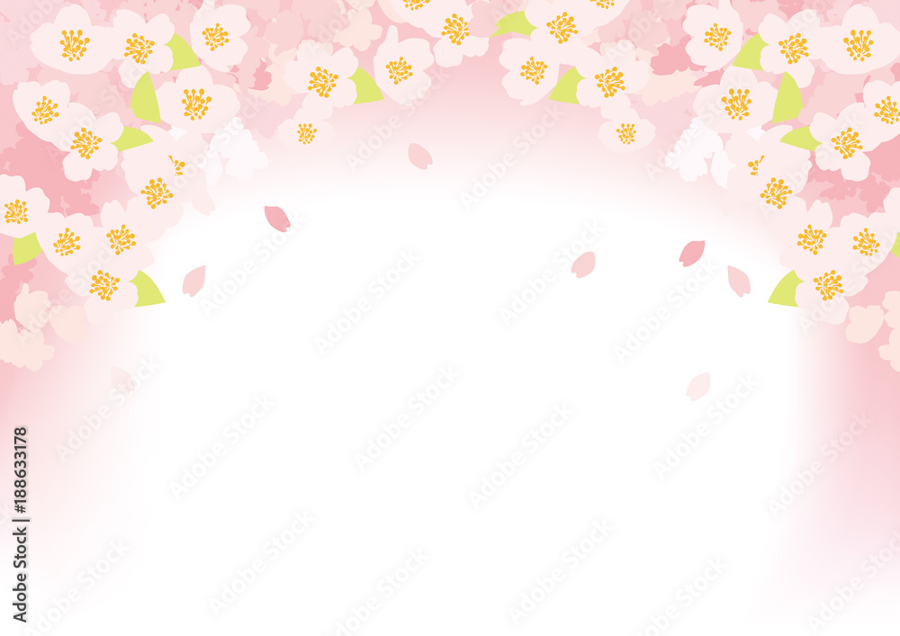 桜空一 桜空一