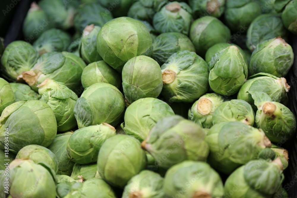 Brussel sprout concept healthy nutririon texture background Brussel sprout concept healthy nutririon texture background