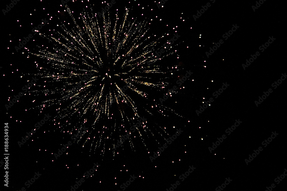 Fototapeta premium Firework in Central Park