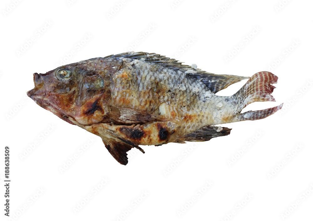 Grilled Fish isolated on white background Grilled Fish isolated on white background
