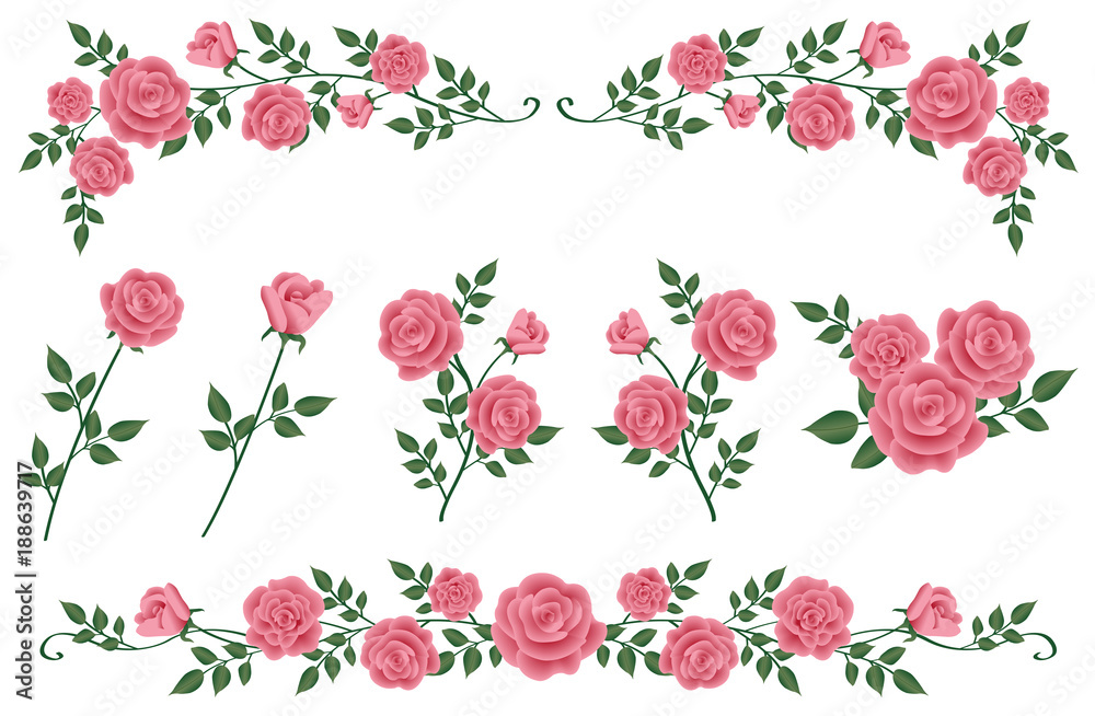 ピンク色のバラ　飾り線とイラスト